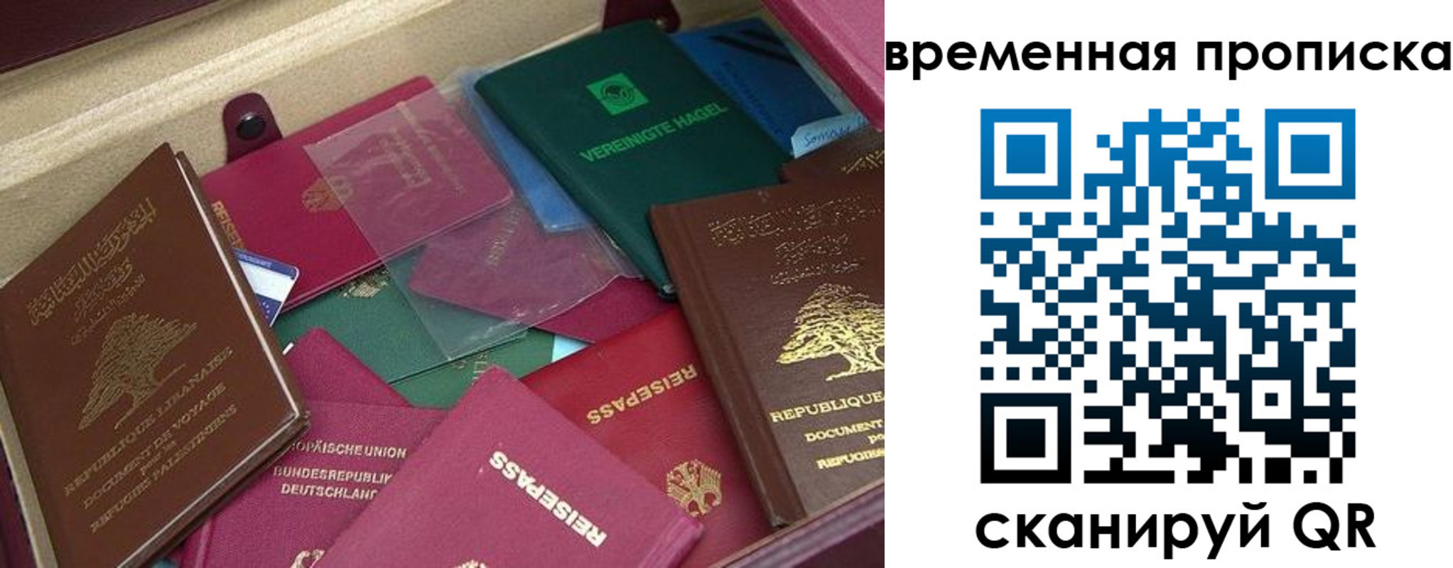 прописка в Жуковском